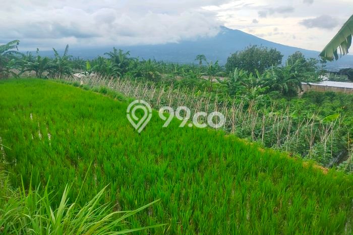 Kavling Tanah Dijual di Caringin, Bogor, Luas 1300m2 Area Strategis Kavling Tanah Dijual di Caringin, Bogor, Luas 1300m2 Area Strategis