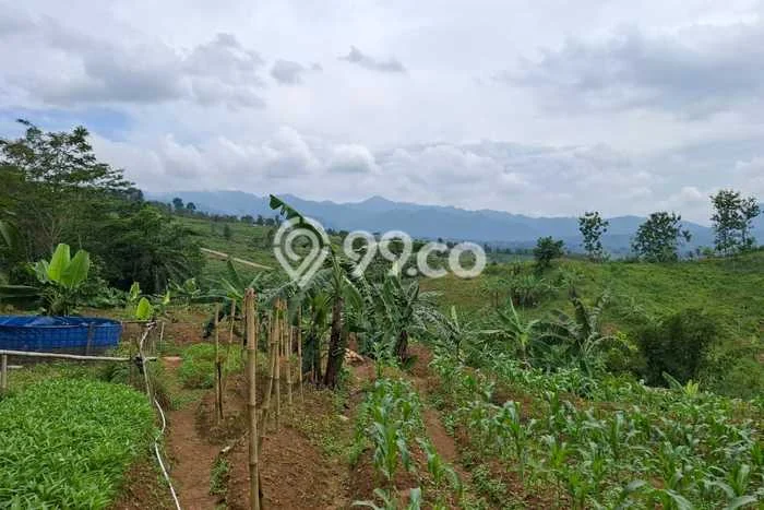 Dijual Tanah Kawasan Komersial di Sukamakmur, Luas 7770m², Prospek Bagus Dijual Tanah Kawasan Komersial di Sukamakmur, Luas 7770m², Prospek Bagus