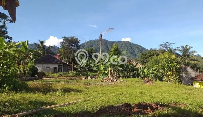 Kavling Tanah Dijual di Pamijahan, Bogor, Luas 1950m2 Area Strategis Kavling Tanah Dijual di Pamijahan, Bogor, Luas 1950m2 Area Strategis