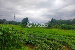 Tanah untuk Dijual di Rumpin Bogor Luas 10000m2 Tanah untuk Dijual di Rumpin Bogor Luas 10000m2
