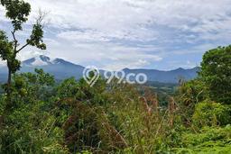 Lahan Kosong Dijual di Leuwiliang, Bogor, Luas 140000m2 Area Strategis Lahan Kosong Dijual di Leuwiliang, Bogor, Luas 140000m2 Area Strategis