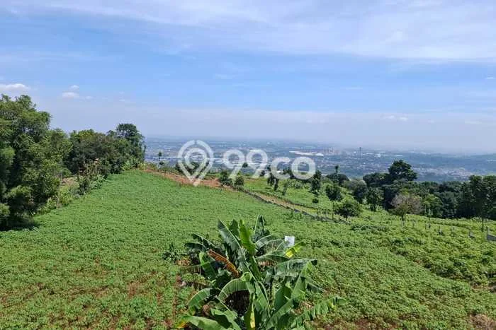 Tanah Dijual Lokasi Citeureup Bogor SHM Tanah Dijual Lokasi Citeureup Bogor SHM