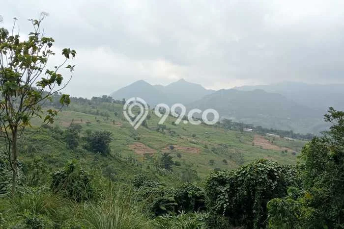 Lahan Strategis di Sukamakmur Dijual dengan Luas 7398m2 Lahan Strategis di Sukamakmur Dijual dengan Luas 7398m2