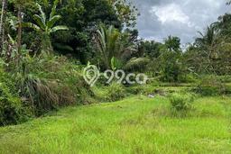 Tanah di Pamijahan, Bogor Luas 6000m2 Dijual Segera Tanah di Pamijahan, Bogor Luas 6000m2 Dijual Segera