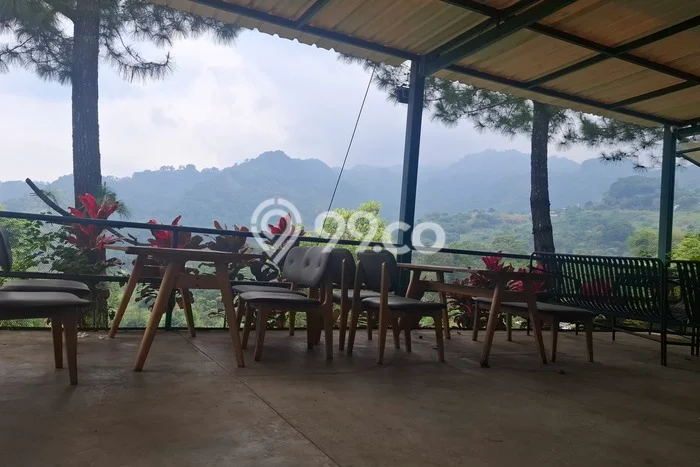 Tanah Dijual Lokasi Babakan Madang, Bogor Luas 8000m2 Legalitas Aman Tanah Dijual Lokasi Babakan Madang, Bogor Luas 8000m2 Legalitas Aman
