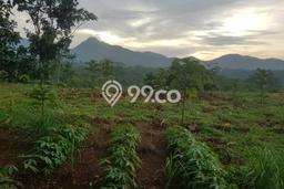 Tanah di Rumpin, Bogor Luas 20000m2 Dijual Segera Tanah di Rumpin, Bogor Luas 20000m2 Dijual Segera