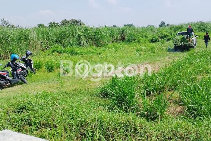 Tanah di Tulangan, Luas 6930m2m², Area Strategis, Lingkungan Nyaman, Bebas Banjir Tanah di Tulangan, Luas 6930m2m², Area Strategis, Lingkungan Nyaman, Bebas Banjir