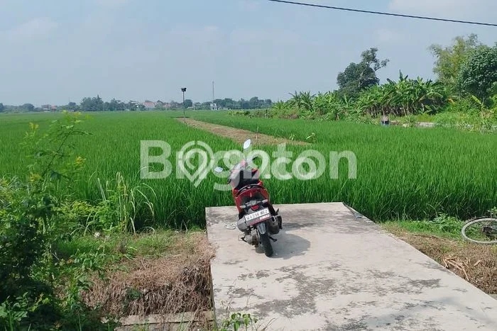 AREA PROSPEKTIF! Tanah di Wonoayu, Luas 5900m2m², Akses Transportasi, Kawasan Berkembang AREA PROSPEKTIF! Tanah di Wonoayu, Luas 5900m2m², Akses Transportasi, Kawasan Berkembang