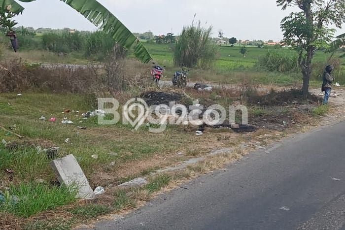 Dijual Tanah Lokasi Prima Kawasan Wonoayu, Luas 300000m2m², Dekat Wonoayu, Sidoarjo, Sidoarjo Dijual Tanah Lokasi Prima Kawasan Wonoayu, Luas 300000m2m², Dekat Wonoayu, Sidoarjo, Sidoarjo