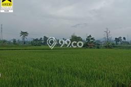 Tanah untuk Dijual Lokasi Ciparay, Bandung Luas 5572m2 - Tanah untuk Dijual Lokasi Ciparay, Bandung Luas 5572m2 -