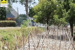 Tanah Dijual Area Strategis di Lembang Bandung 2000m2 Tanah Dijual Area Strategis di Lembang Bandung 2000m2