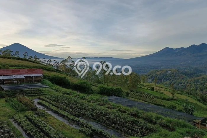 Kavling Tanah Dijual di Garut Kota Garut Spesifikasi 175000m2 Kavling Tanah Dijual di Garut Kota Garut Spesifikasi 175000m2