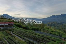 Kavling Tanah Dijual di Garut Kota Garut Spesifikasi 175000m2 Kavling Tanah Dijual di Garut Kota Garut Spesifikasi 175000m2