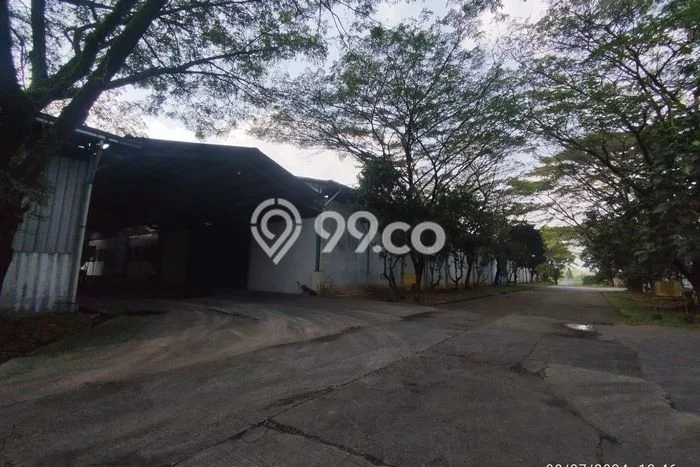 Untuk Disewa Gudang di Rangkasbitung Lebak LT 20000m2, LB 8800m2 Untuk Disewa Gudang di Rangkasbitung Lebak LT 20000m2, LB 8800m2