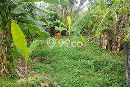 Lahan Kosong Dijual di Kramatwatu, Serang, Luas 477m2 Area Strategis Lahan Kosong Dijual di Kramatwatu, Serang, Luas 477m2 Area Strategis