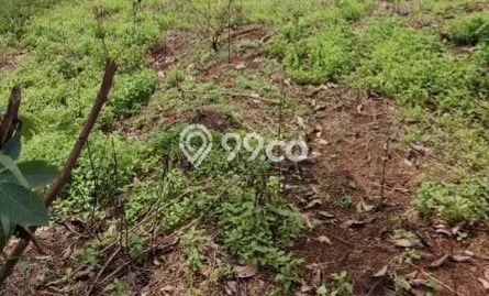 Tanah Siap Bangun Dijual di Tangerang Punya Luas 1000m2 Tanah Siap Bangun Dijual di Tangerang Punya Luas 1000m2