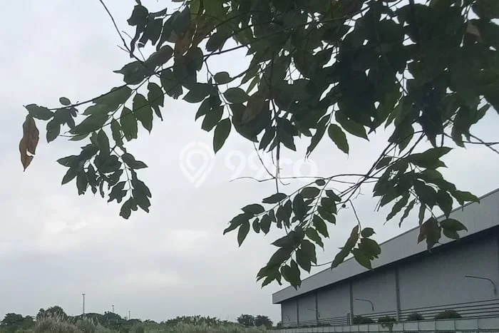 Tanah Investasi Dijual di Bekasi Punya Luas 1.0051e+08m2 Tanah Investasi Dijual di Bekasi Punya Luas 1.0051e+08m2