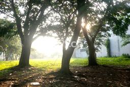 Lahan Strategis di Lippo Cikarang Dijual dengan Luas 2520m2 Lahan Strategis di Lippo Cikarang Dijual dengan Luas 2520m2
