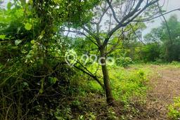 Tanah Dijual Lokasi Lippo Cikarang, Cikarang Luas 1350m2 Legalitas Aman Tanah Dijual Lokasi Lippo Cikarang, Cikarang Luas 1350m2 Legalitas Aman