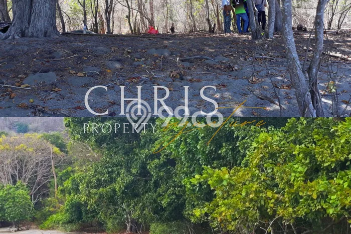 Lahan Dijual Lokasi Strategis di Manggarai Barat dengan Luas 55582m2 Lahan Dijual Lokasi Strategis di Manggarai Barat dengan Luas 55582m2