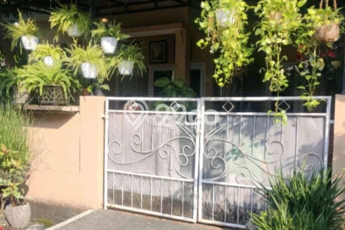 Dijual Rumah Minimalis Bagus Punya 2 KT di Buduran Sidoarjo SHM Dijual Rumah Minimalis Bagus Punya 2 KT di Buduran Sidoarjo SHM