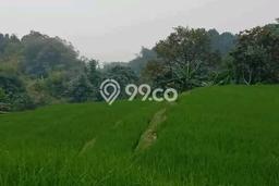 Untuk Dijual Tanah di Leuwisadeng Bogor Luas 20000m2 - Untuk Dijual Tanah di Leuwisadeng Bogor Luas 20000m2 -
