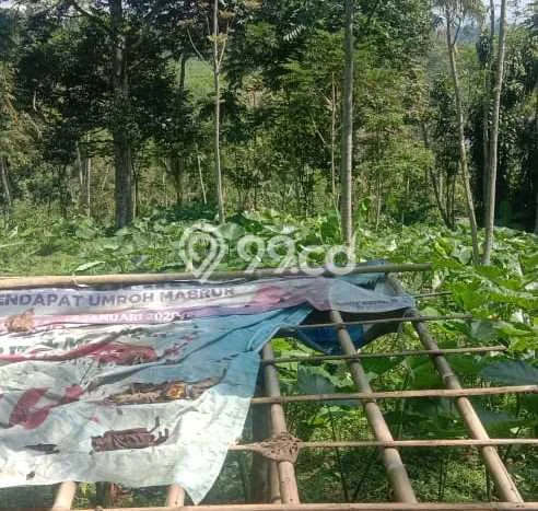 Tanah Kavling untuk Dijual di Parakan Salak Sukabumi 1e+08m2 Tanah Kavling untuk Dijual di Parakan Salak Sukabumi 1e+08m2