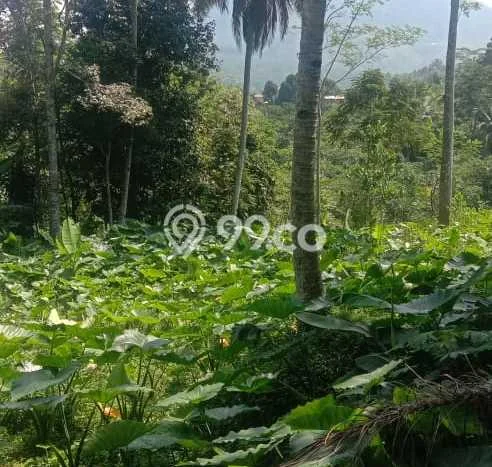 Tanah Kavling untuk Dijual di Parakan Salak Sukabumi 1e+08m2 Tanah Kavling untuk Dijual di Parakan Salak Sukabumi 1e+08m2