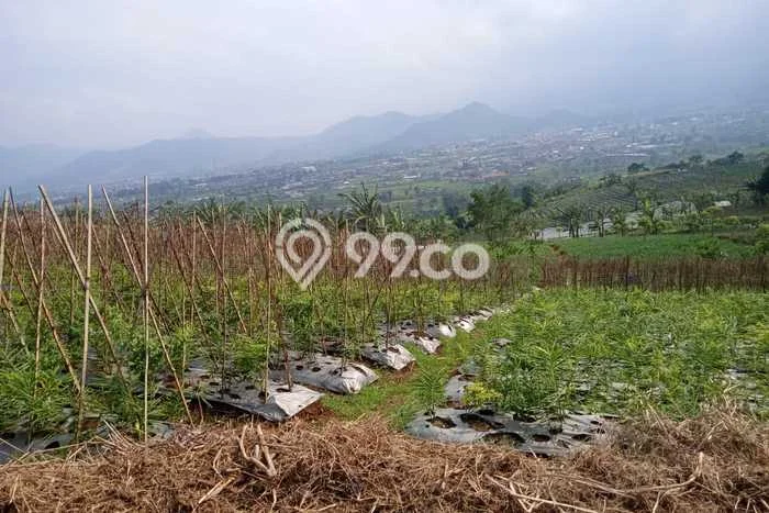 Tanah untuk Dijual di Cianjur Cianjur Luas 150000m2 Tanah untuk Dijual di Cianjur Cianjur Luas 150000m2