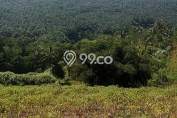 Tanah Dijual Area Strategis di Kota Sukabumi Sukabumi 12000m2 Tanah Dijual Area Strategis di Kota Sukabumi Sukabumi 12000m2