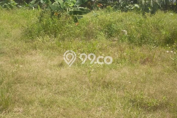 Lahan Strategis di Bogor Timur Dijual dengan Luas 1800m2 Lahan Strategis di Bogor Timur Dijual dengan Luas 1800m2