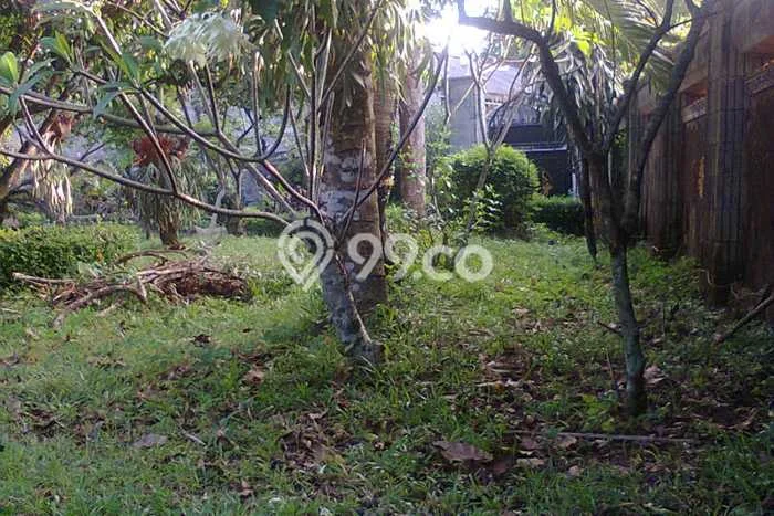 Jarang Ada! Tanah di Cileungsi Punya Luas 3145m2 SHM Jarang Ada! Tanah di Cileungsi Punya Luas 3145m2 SHM