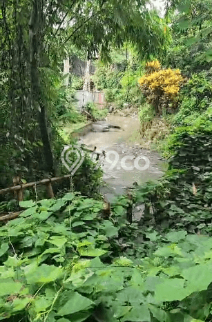 Tanah Kavling Disewakan di Kerobokan dengan Luas 5500m2 Tanah Kavling Disewakan di Kerobokan dengan Luas 5500m2