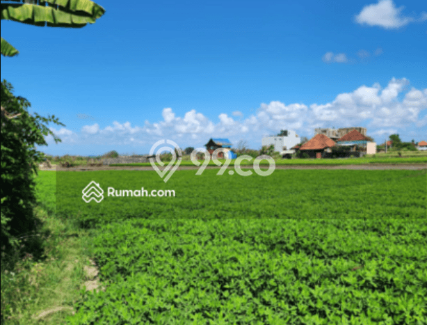 Lahan Dijual Lokasi Strategis di Gianyar dengan Luas 1000m2 Lahan Dijual Lokasi Strategis di Gianyar dengan Luas 1000m2