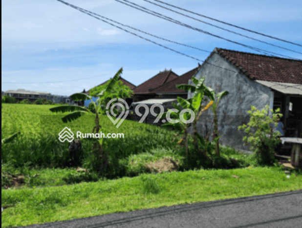 Lahan untuk Disewa di Badung Luas 1500m2 Lahan untuk Disewa di Badung Luas 1500m2