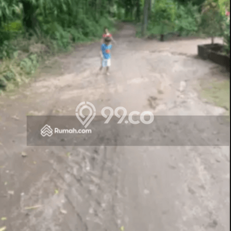 Untuk Dijual Tanah 5000m2 di Singaraja, Buleleng Untuk Dijual Tanah 5000m2 di Singaraja, Buleleng