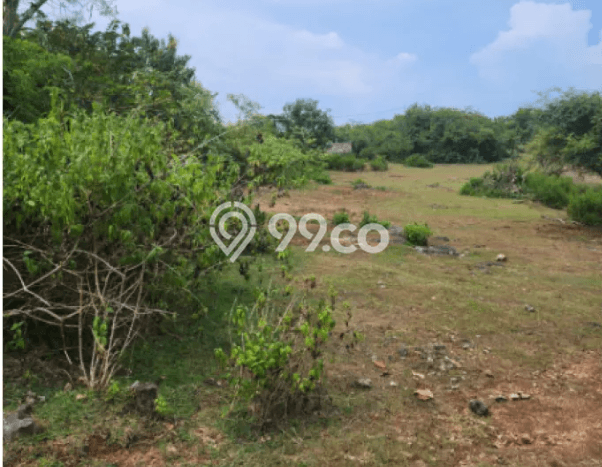 Lahan Dijual Lokasi Strategis di Badung dengan Luas 800m2 Lahan Dijual Lokasi Strategis di Badung dengan Luas 800m2