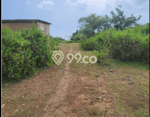Lahan Dijual Lokasi Strategis di Badung dengan Luas 800m2 Lahan Dijual Lokasi Strategis di Badung dengan Luas 800m2