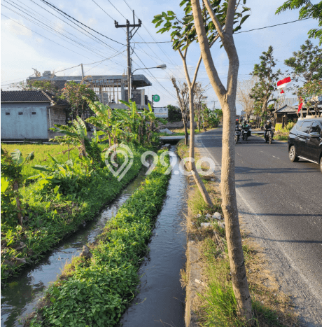 Jarang Ada! Tanah Kavling Disewakan di Badung 10000m2 Jarang Ada! Tanah Kavling Disewakan di Badung 10000m2