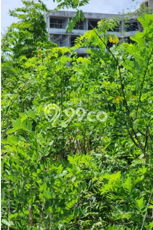 Disewakan Tanah di Badung, Luas 300m2 Area Berkembang Disewakan Tanah di Badung, Luas 300m2 Area Berkembang