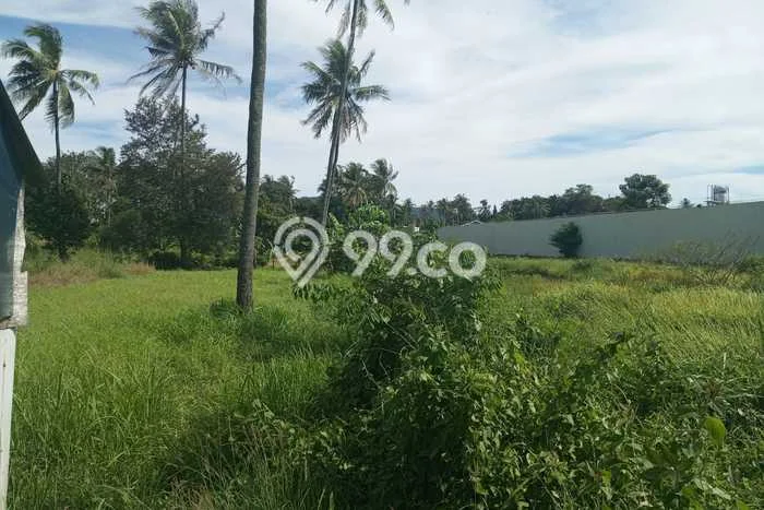 Tanah Dijual Lokasi Cibeber Cilegon SHM Tanah Dijual Lokasi Cibeber Cilegon SHM