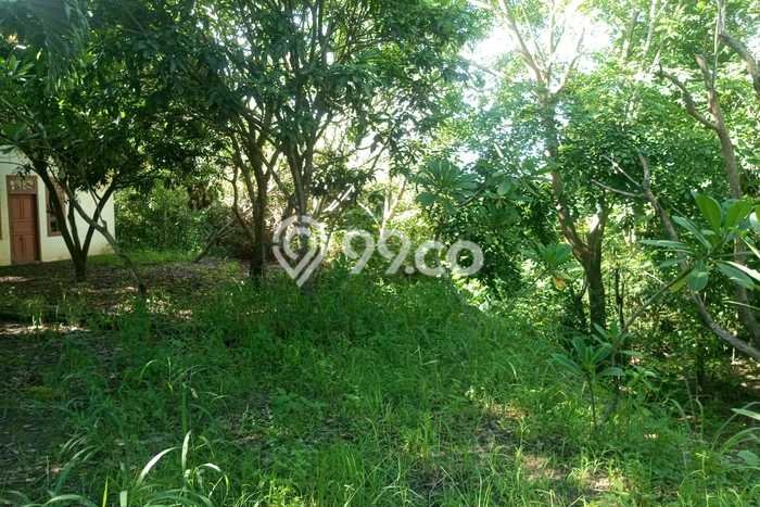 Tanah Dijual Lokasi Ciwandan, Cilegon Luas 12000m2 Legalitas Aman Tanah Dijual Lokasi Ciwandan, Cilegon Luas 12000m2 Legalitas Aman