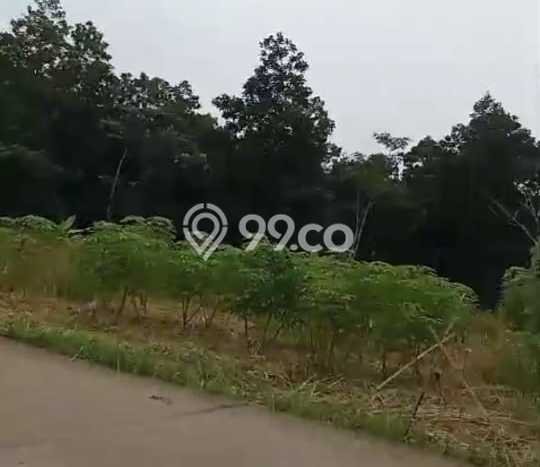 Dijual Tanah di Munjul Pandeglang Luas 1e+06m2 SHM Dijual Tanah di Munjul Pandeglang Luas 1e+06m2 SHM