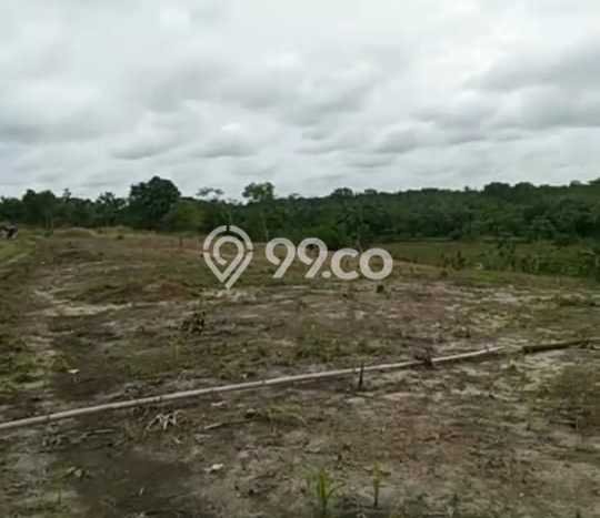 Dijual Tanah di Munjul Pandeglang Luas 1e+06m2 SHM Dijual Tanah di Munjul Pandeglang Luas 1e+06m2 SHM