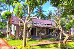 Tanah Kawasan Tegallalang, Luas 8000m2m², Area Potensial Tanah Kawasan Tegallalang, Luas 8000m2m², Area Potensial