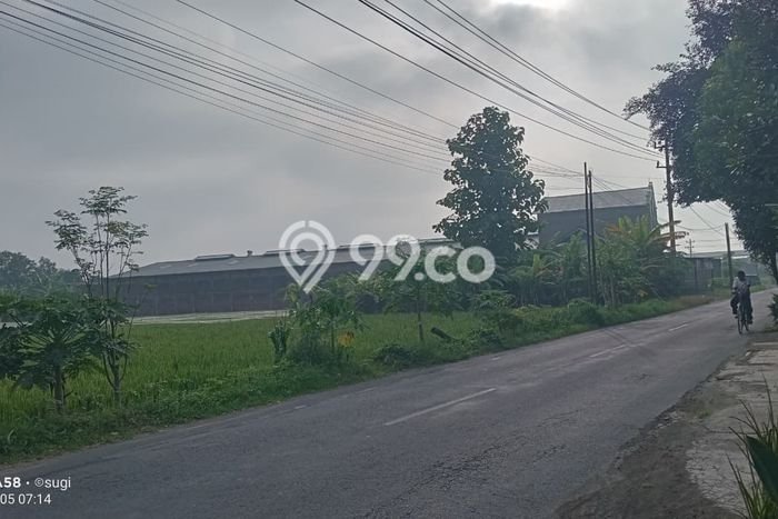 Tanah Dijual Lokasi Grogol, Sukoharjo Luas 2334m2 Legalitas Aman Tanah Dijual Lokasi Grogol, Sukoharjo Luas 2334m2 Legalitas Aman
