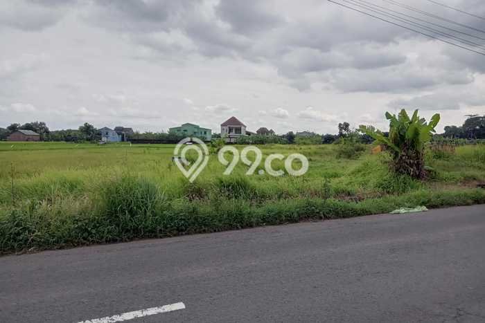 Dijual Tanah di Wonosari Klaten Luas 2413m2 SHM Dijual Tanah di Wonosari Klaten Luas 2413m2 SHM