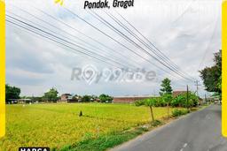 Tanah Dijual Lokasi Grogol, Sukoharjo Luas 2334m2 Legalitas Aman Tanah Dijual Lokasi Grogol, Sukoharjo Luas 2334m2 Legalitas Aman
