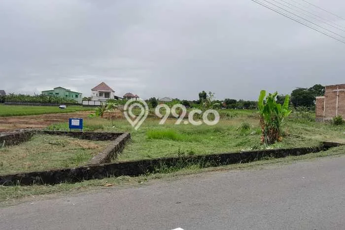Dijual Tanah di Wonosari Klaten Luas 2413m2 SHM Dijual Tanah di Wonosari Klaten Luas 2413m2 SHM