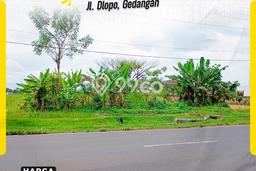 Tanah Siap Pakai Disewakan di Grogol, Sukoharjo, Luas 6100m2 Tanah Siap Pakai Disewakan di Grogol, Sukoharjo, Luas 6100m2